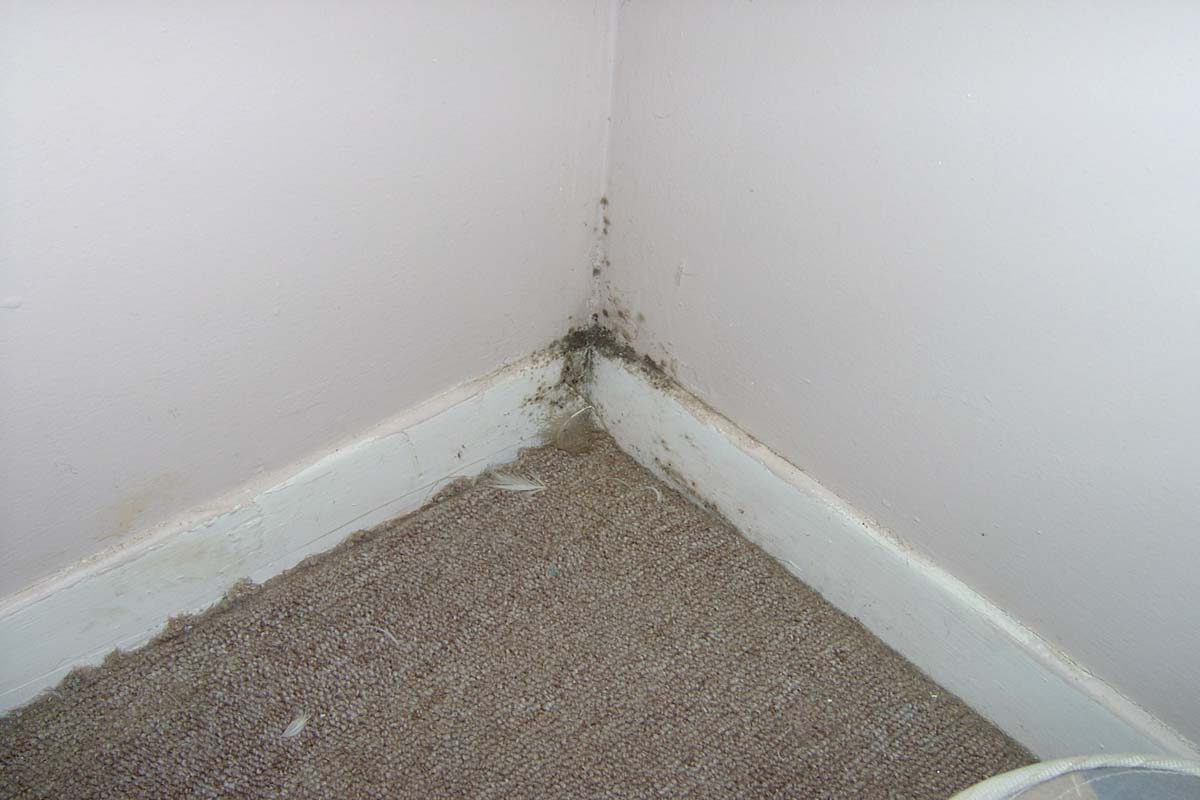 Defect Pics from inspections